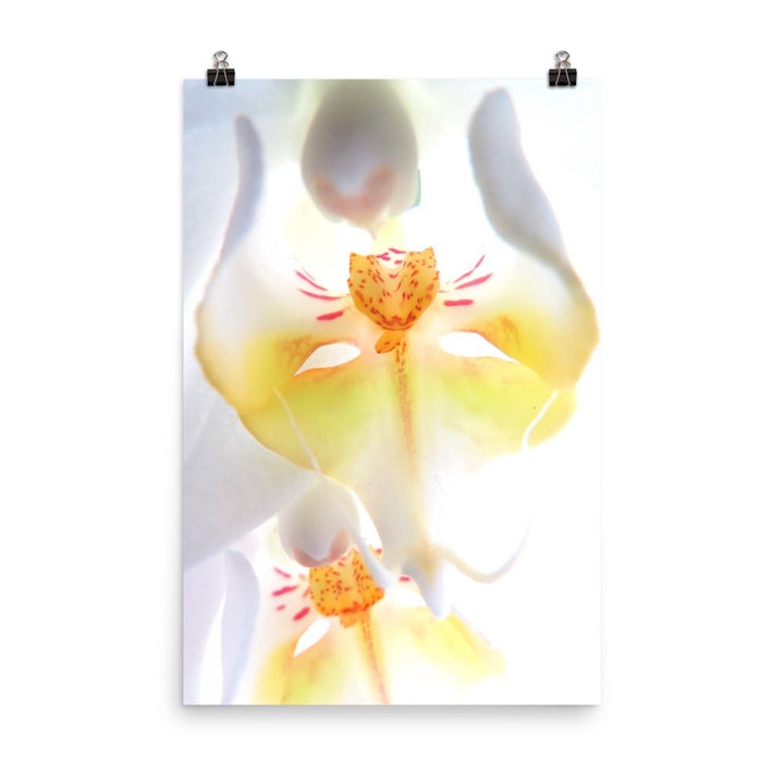 Poster - Yellow Orchid 30x45 cm artlia