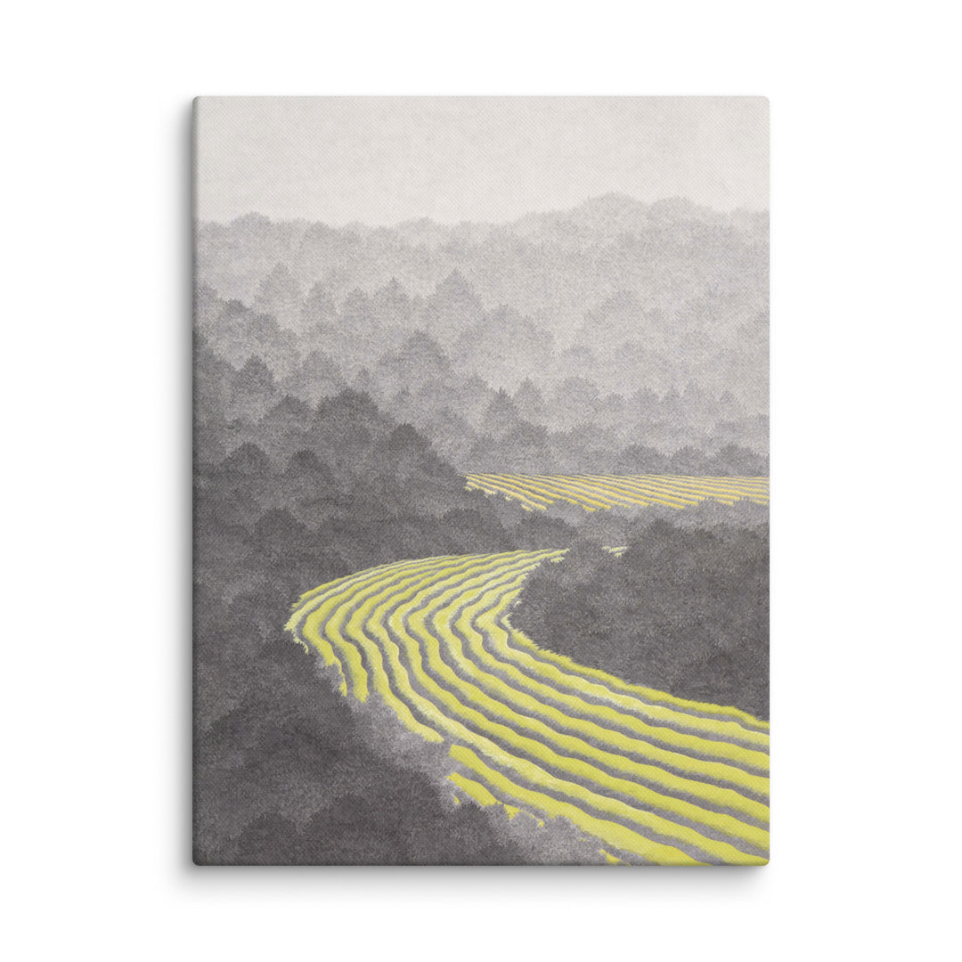Canvas - Han Jeong Lee, Fields 2