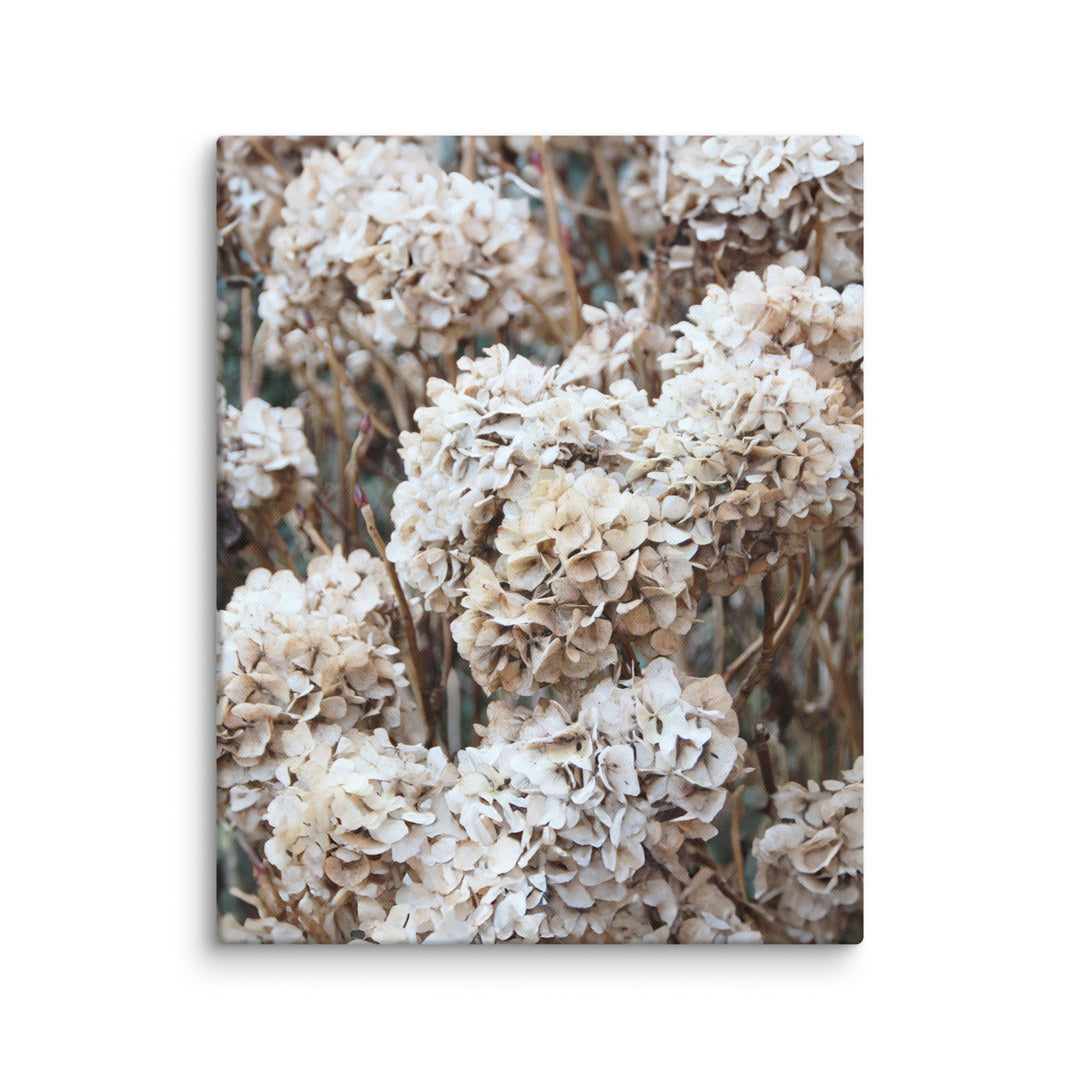 Canvas - Timeless Flowers Hydrangeas