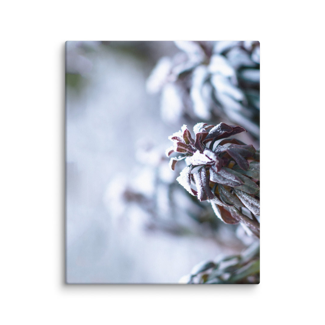 Toile - Givre sur les feuilles, un instant dans la nature