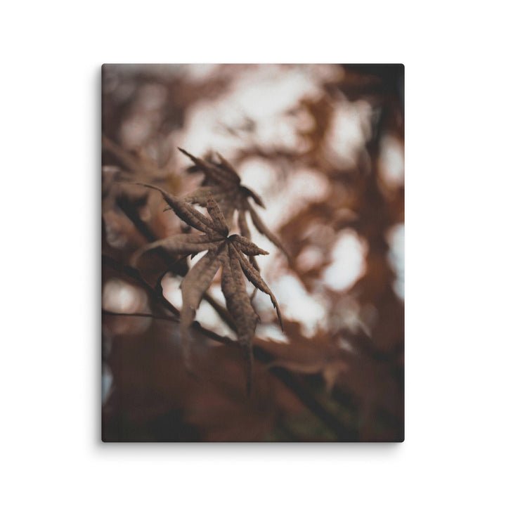 Canvas - Autumn leaves - a moment in nature