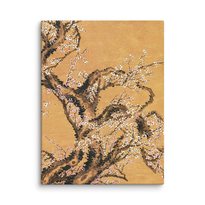 Canvas - Red and white plum blossoms