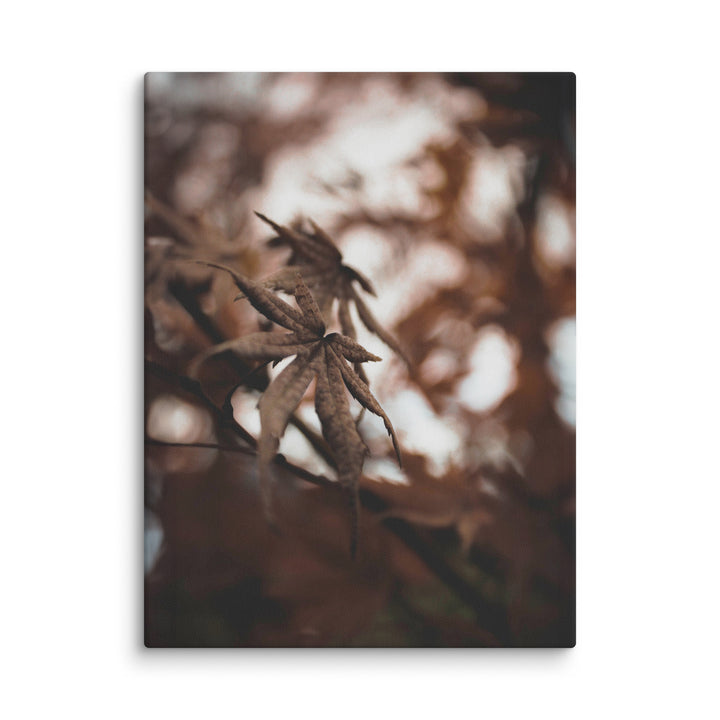 Canvas - Autumn leaves - a moment in nature