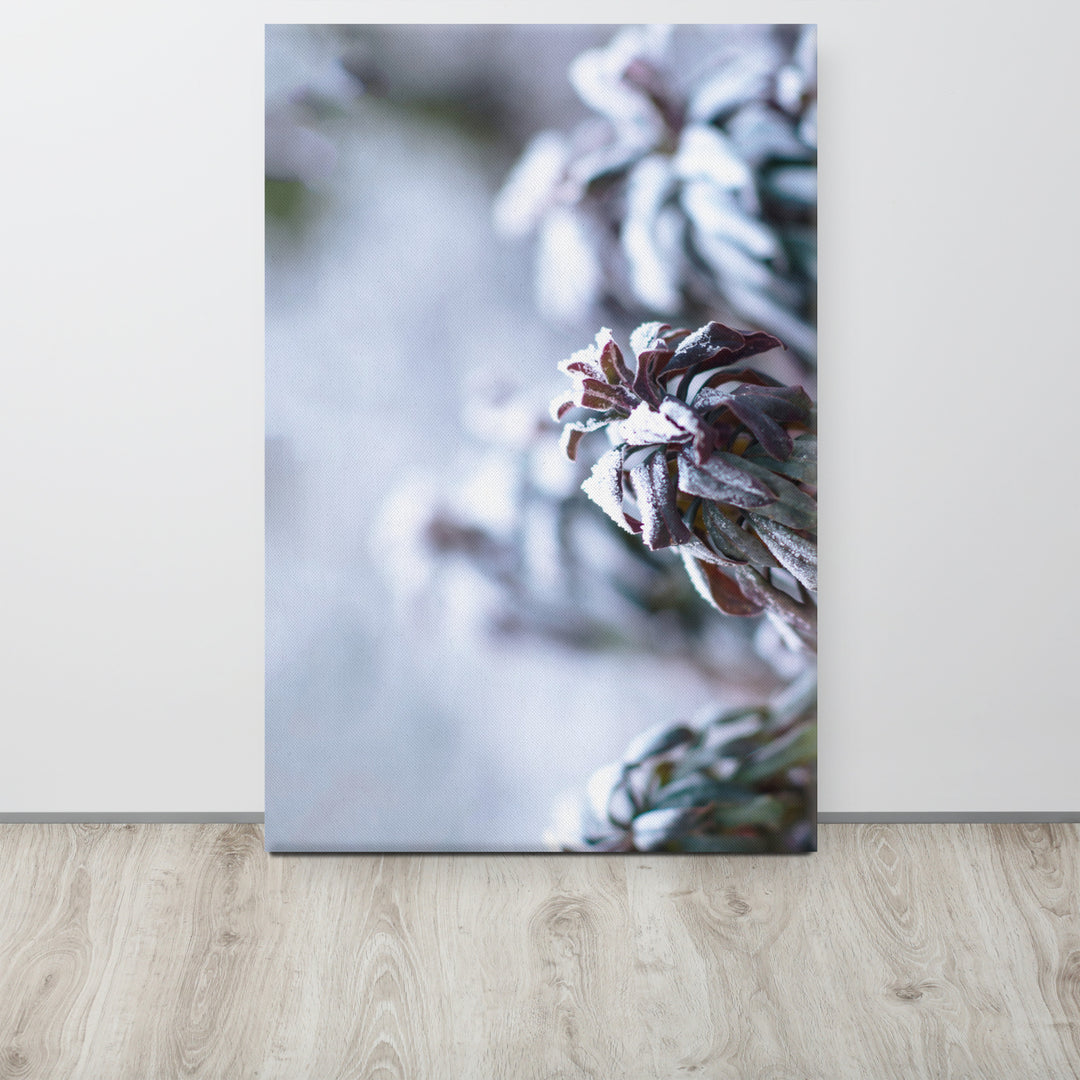 Toile - Givre sur les feuilles, un instant dans la nature