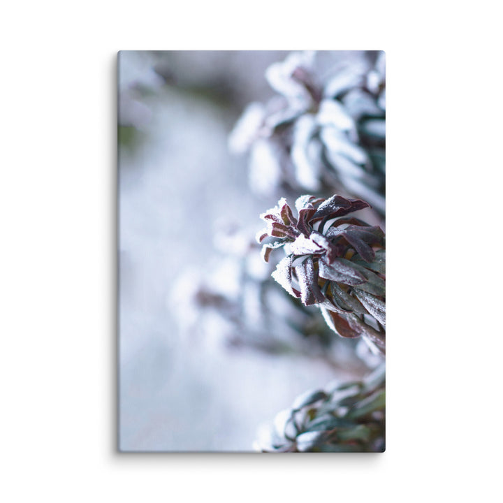 Toile - Givre sur les feuilles, un instant dans la nature