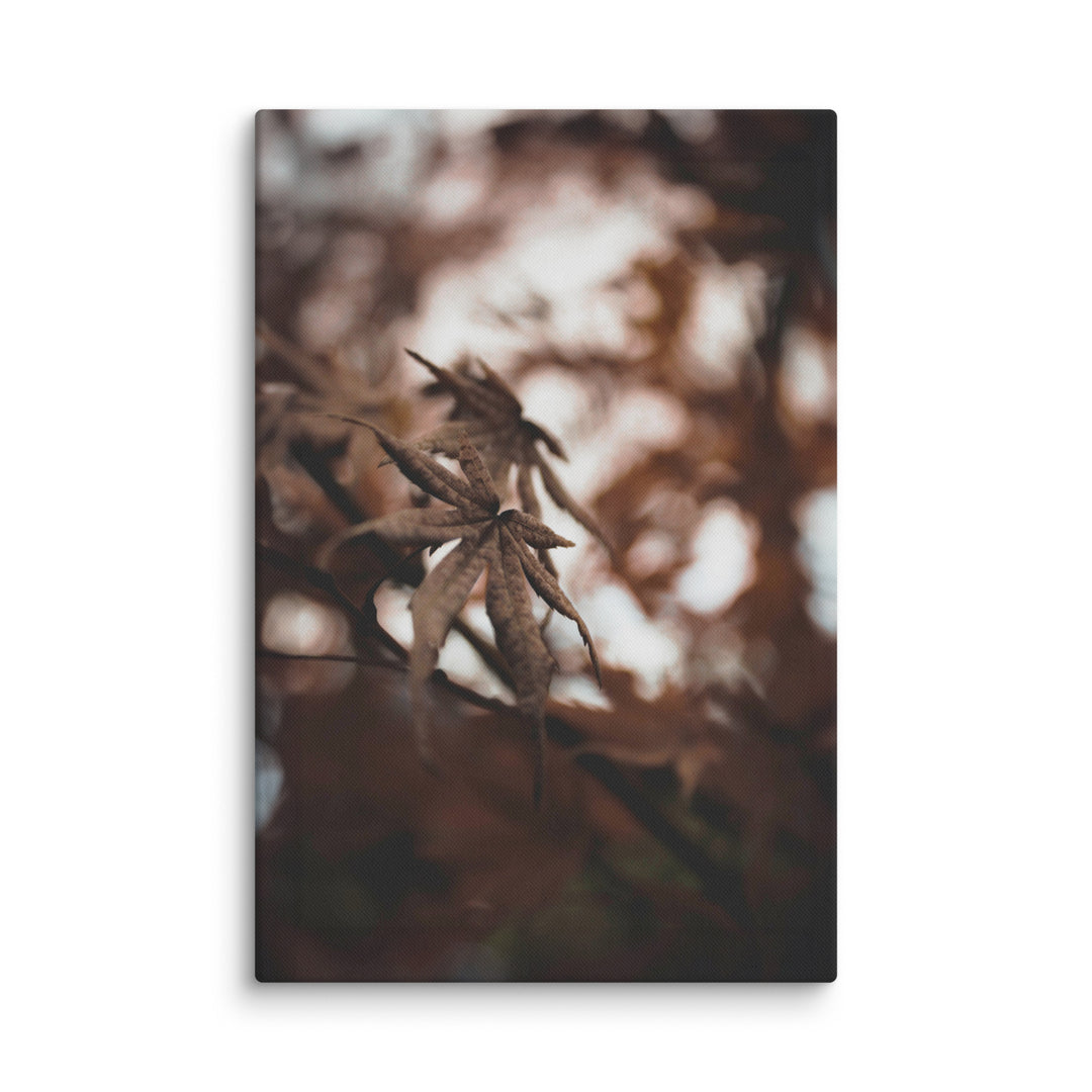 Canvas - Autumn leaves - a moment in nature