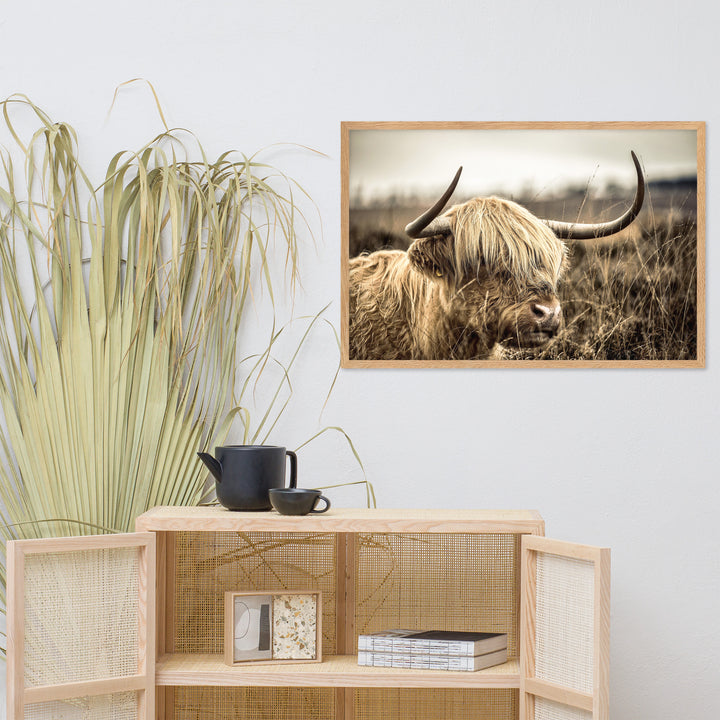 Poster - Highland Cattle Retro