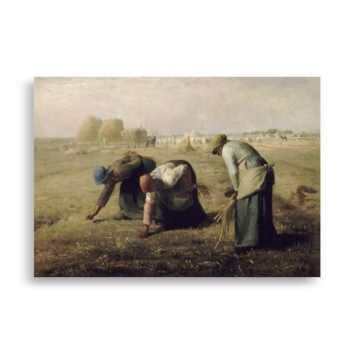 Poster - Jean-François Millet, The Gleaners