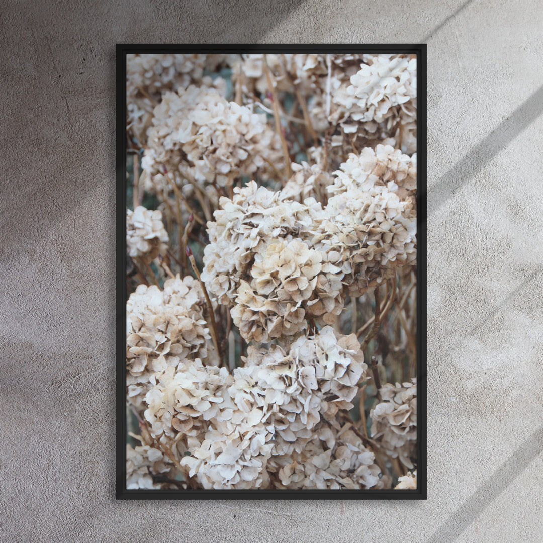 Canvas - Timeless Flowers Hydrangeas