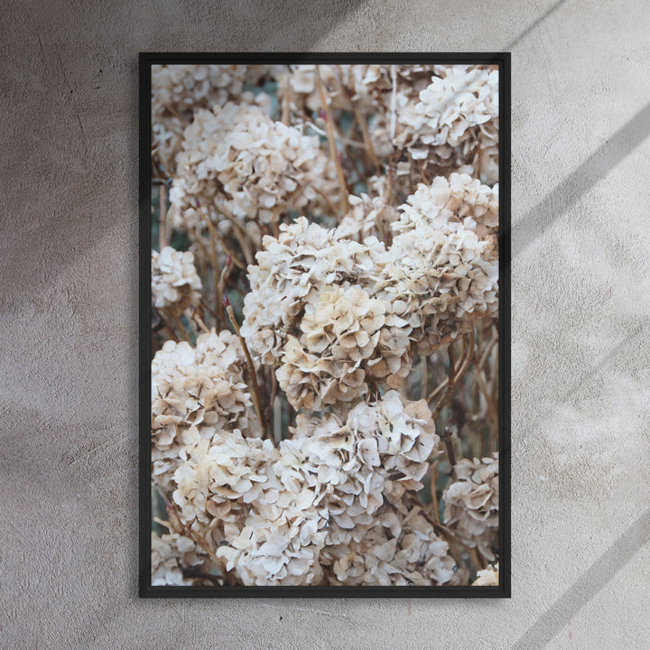 Canvas - Timeless Flowers Hydrangeas