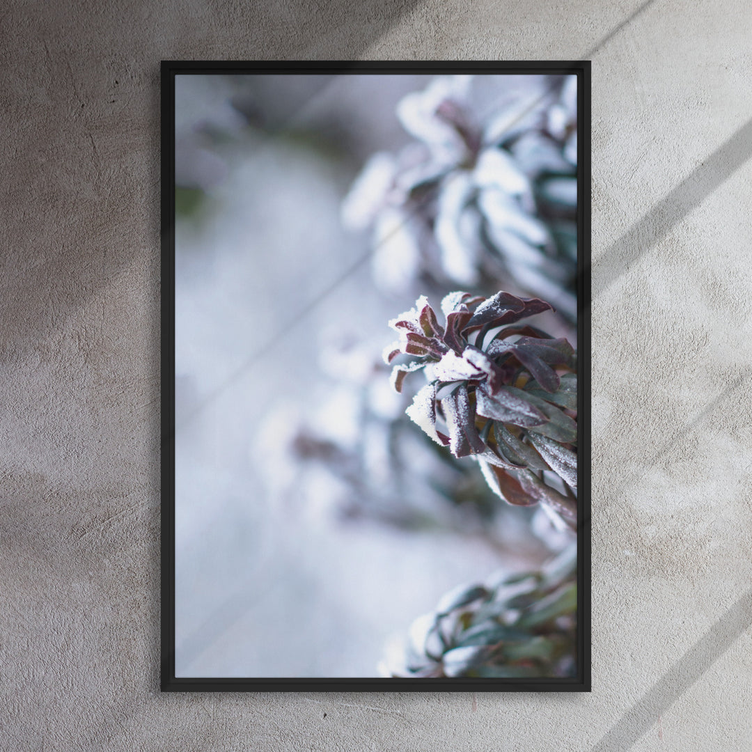 Toile - Givre sur les feuilles, un instant dans la nature