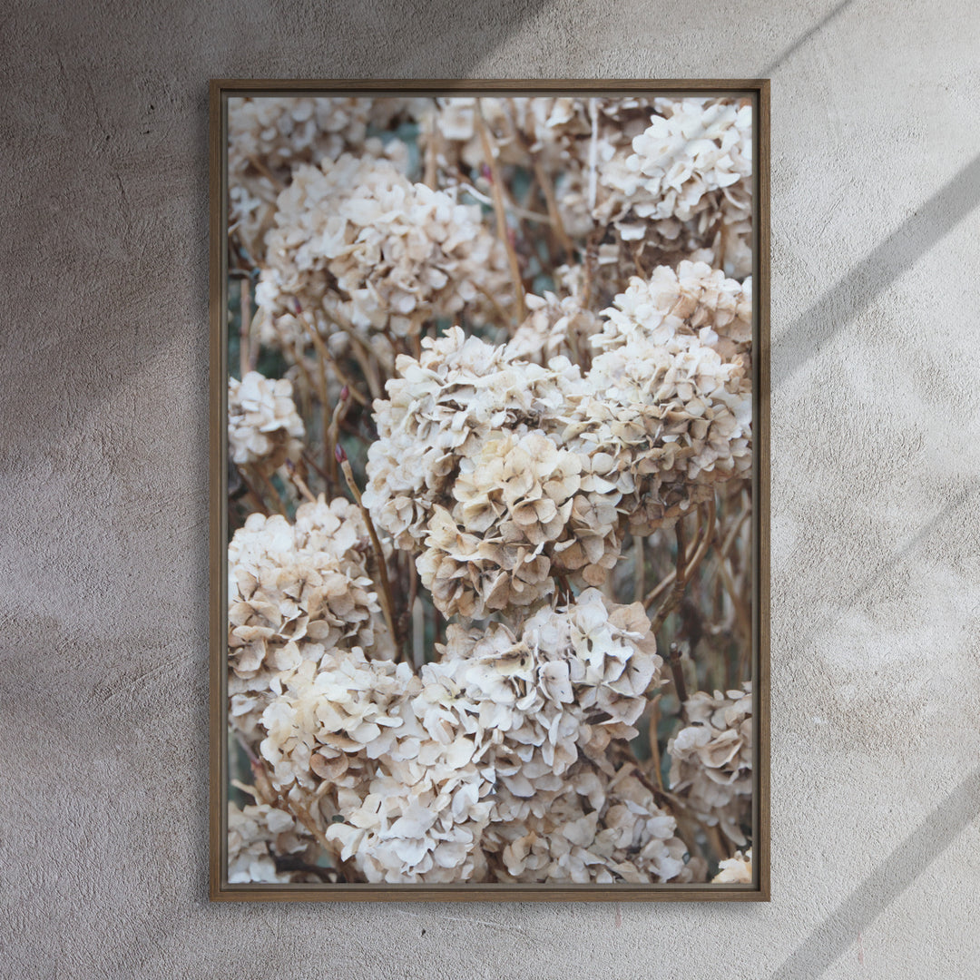 Canvas - Timeless Flowers Hydrangeas