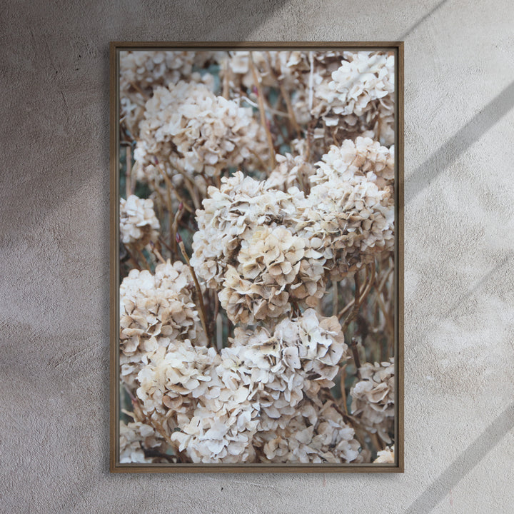 Canvas - Timeless Flowers Hydrangeas