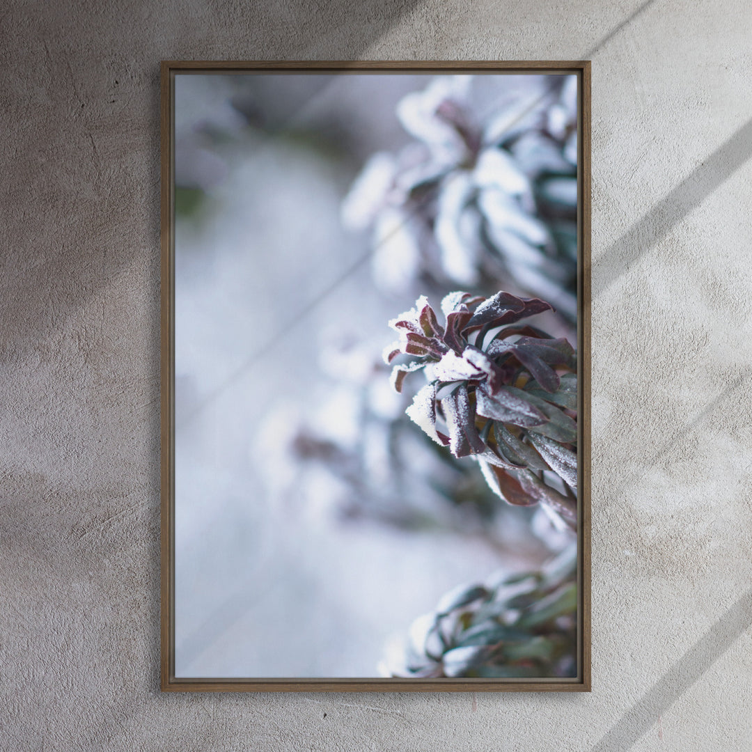 Toile - Givre sur les feuilles, un instant dans la nature