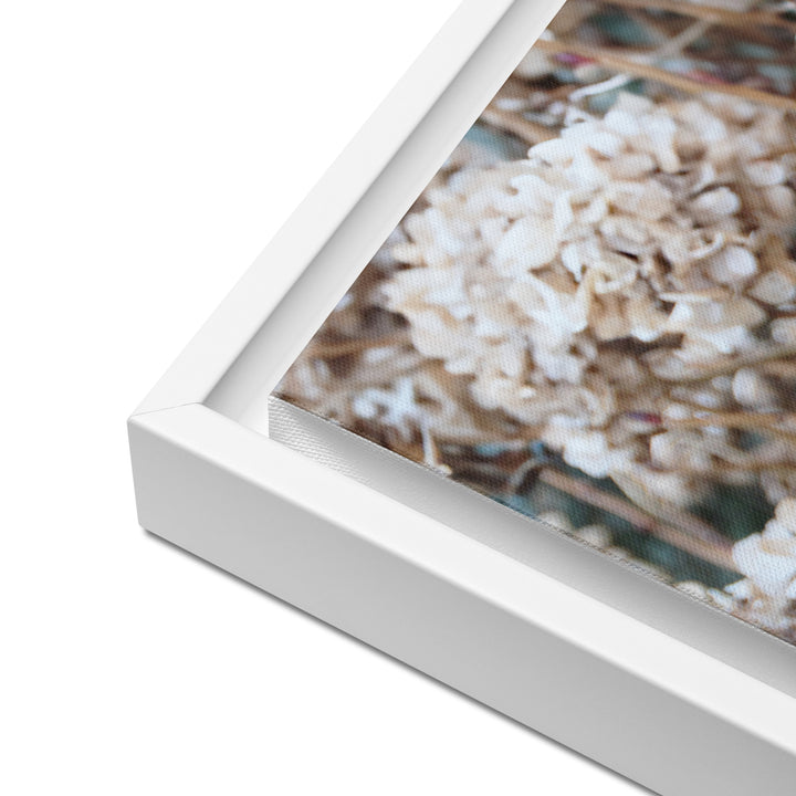 Canvas - Timeless Flowers Hydrangeas