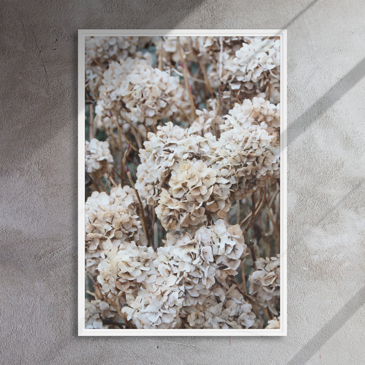Canvas - Timeless Flowers Hydrangeas