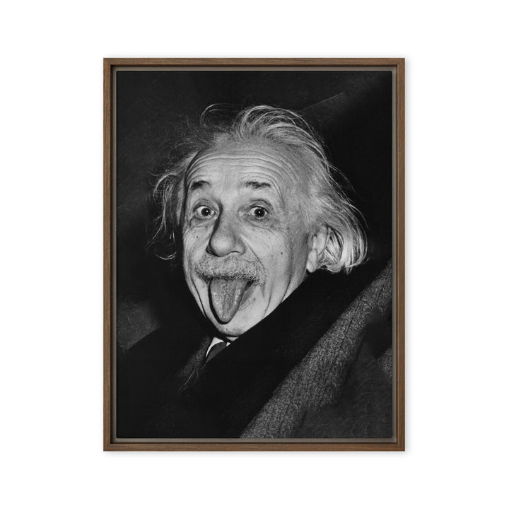 Leinwand - Albert Einstein Zunge Braun / 46x61 cm (18″×24″) artlia