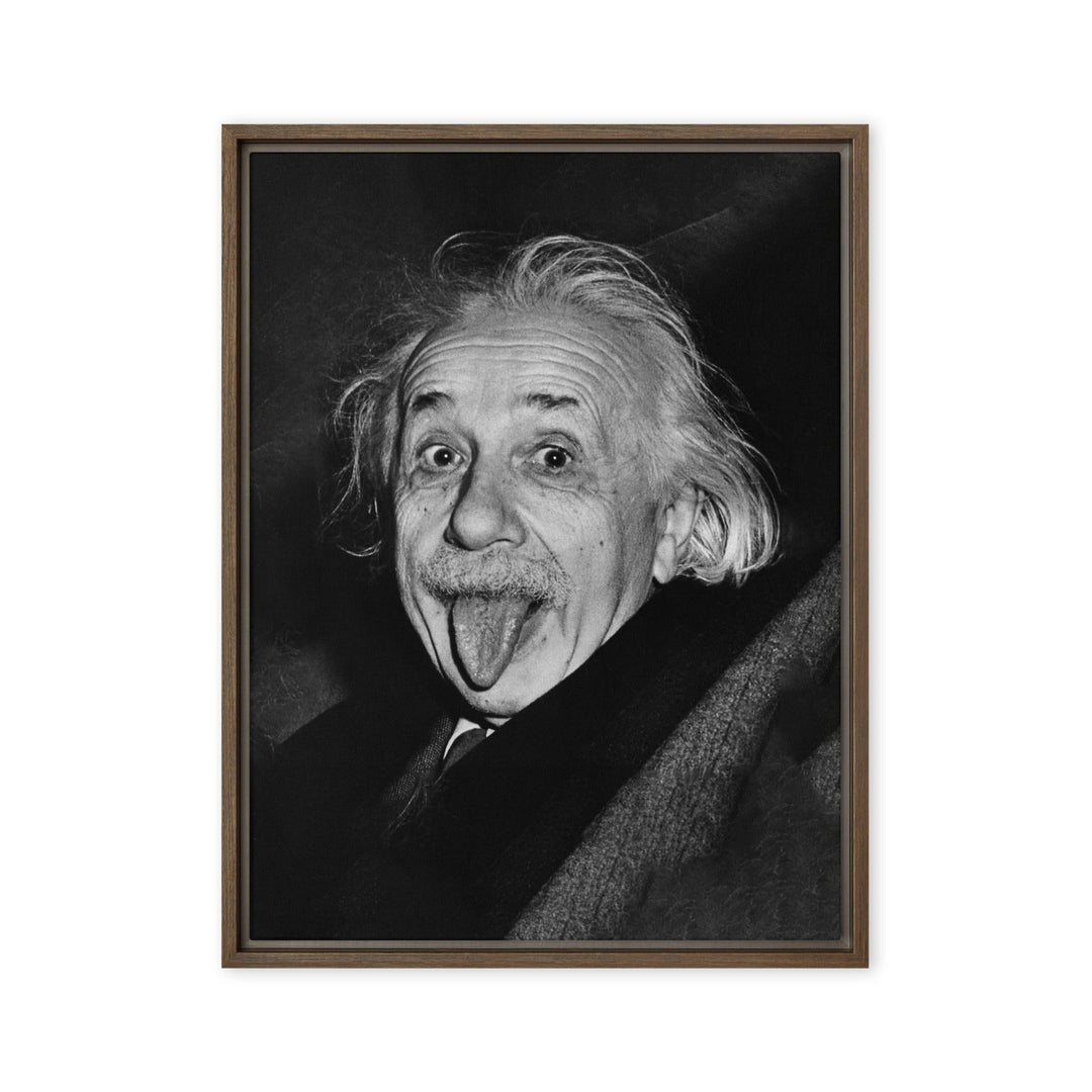 Leinwand - Albert Einstein Zunge Braun / 61x81 cm (24″×32″) artlia
