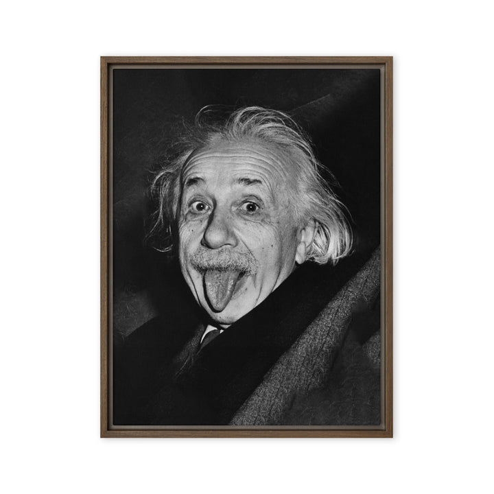 Leinwand - Albert Einstein Zunge Braun / 61x81 cm (24″×32″) artlia