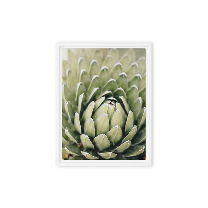 Leinwand - Cactus Flower II Kuratoren von artlia Weiß / 31x41 cm (12″×16″) artlia