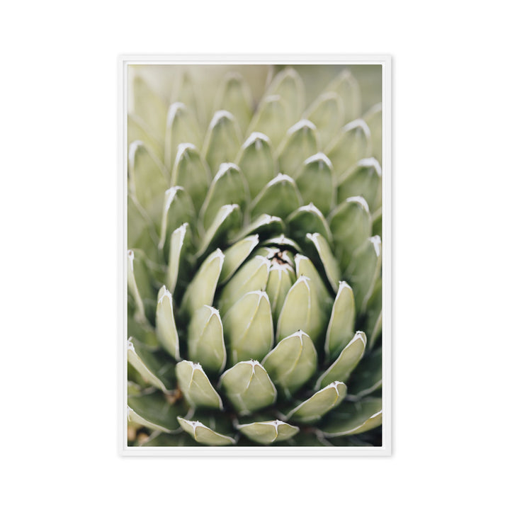 Leinwand - Cactus Flower II Kuratoren von artlia Weiß / 61x91 cm (24″×36″) artlia