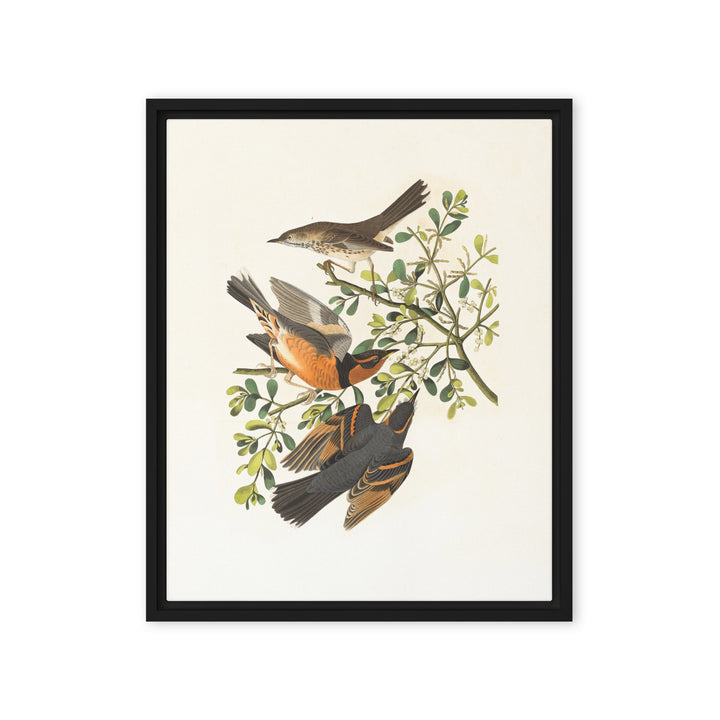 Leinwand - Drei Vögel auf Ästen Schwarz / 41x51 cm (16″×20″) artlia
