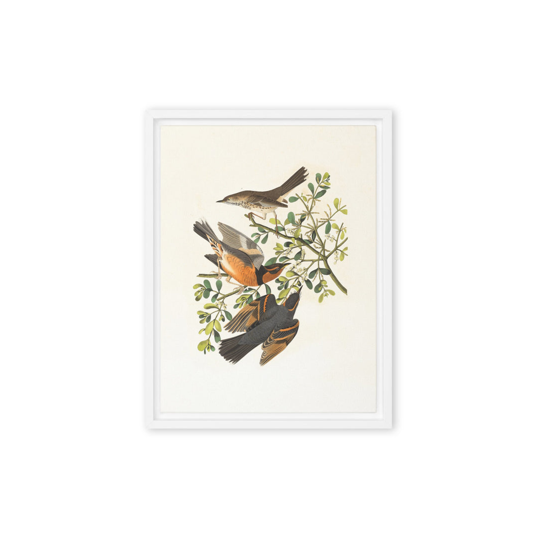 Leinwand - Drei Vögel auf Ästen Weiß / 31x41 cm (12″×16″) artlia