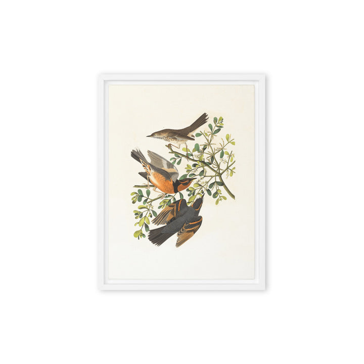 Leinwand - Drei Vögel auf Ästen Weiß / 31x41 cm (12″×16″) artlia