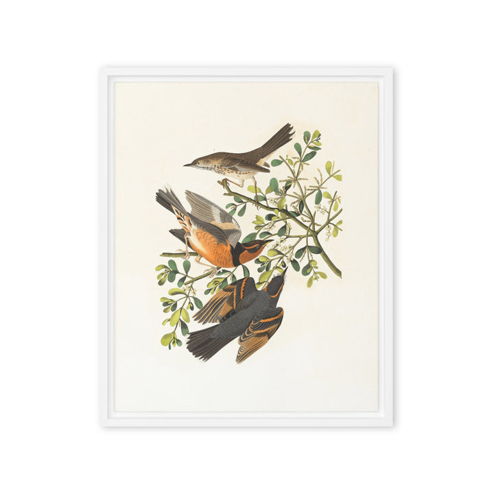 Leinwand - Drei Vögel auf Ästen Weiß / 41x51 cm (16″×20″) artlia