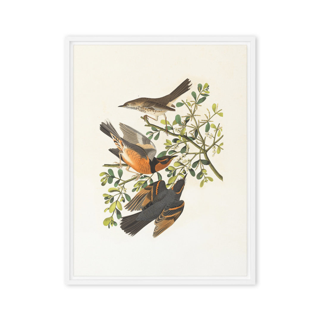 Leinwand - Drei Vögel auf Ästen Weiß / 61x81 cm (24″×32″) artlia