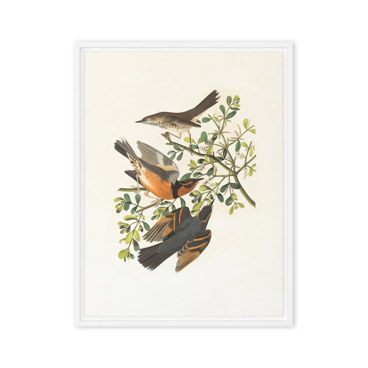 Leinwand - Drei Vögel auf Ästen Weiß / 61x81 cm (24″×32″) artlia