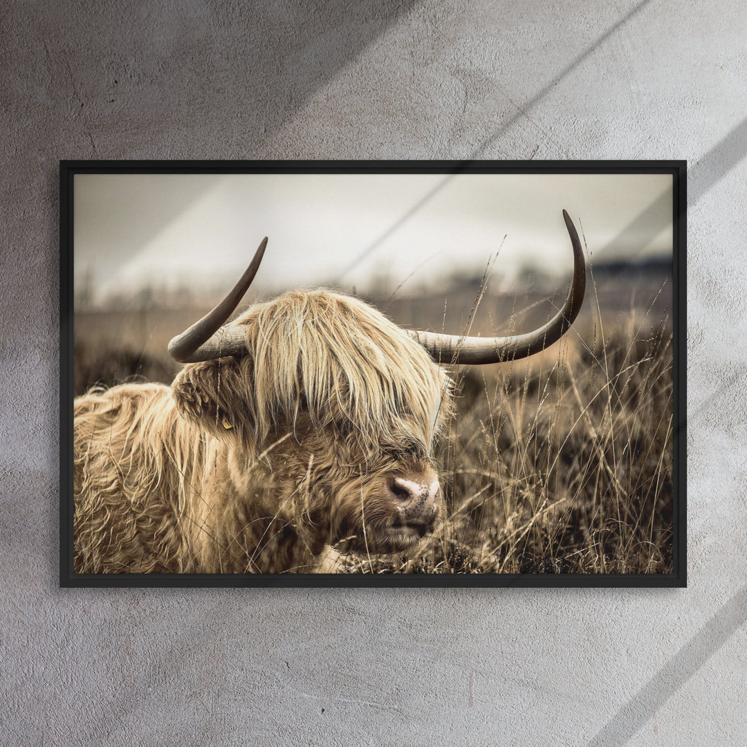 Leinwand - Highland Cattle Retro artlia