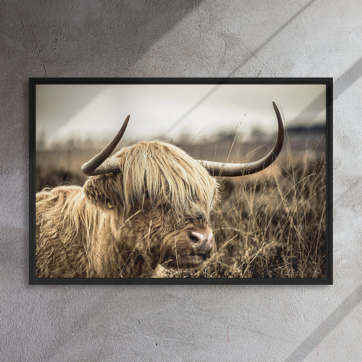 Leinwand - Highland Cattle Retro artlia
