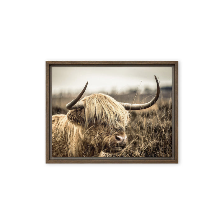 Leinwand - Highland Cattle Retro Braun / 31x41 cm (12″×16″) artlia