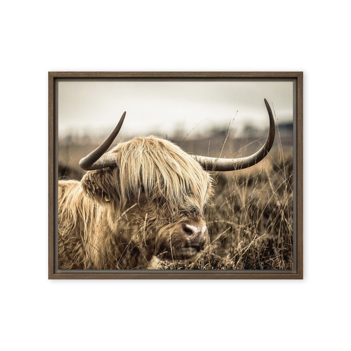 Leinwand - Highland Cattle Retro Braun / 41x51 cm (16″×20″) artlia