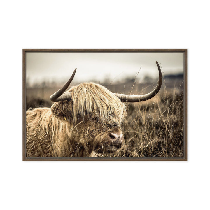Leinwand - Highland Cattle Retro Braun / 51x76 cm (20″×30″) artlia