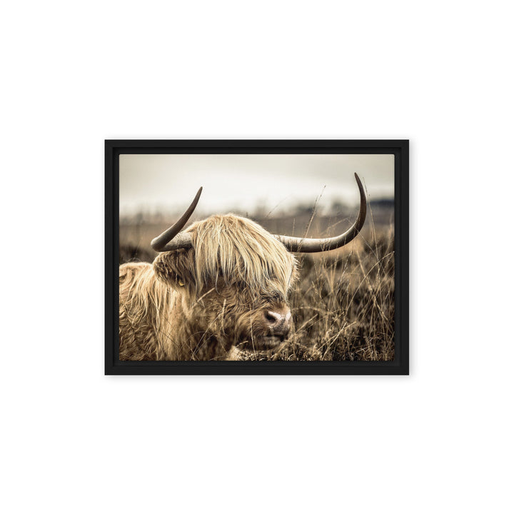 Leinwand - Highland Cattle Retro Schwarz / 31x41 cm (12″×16″) artlia