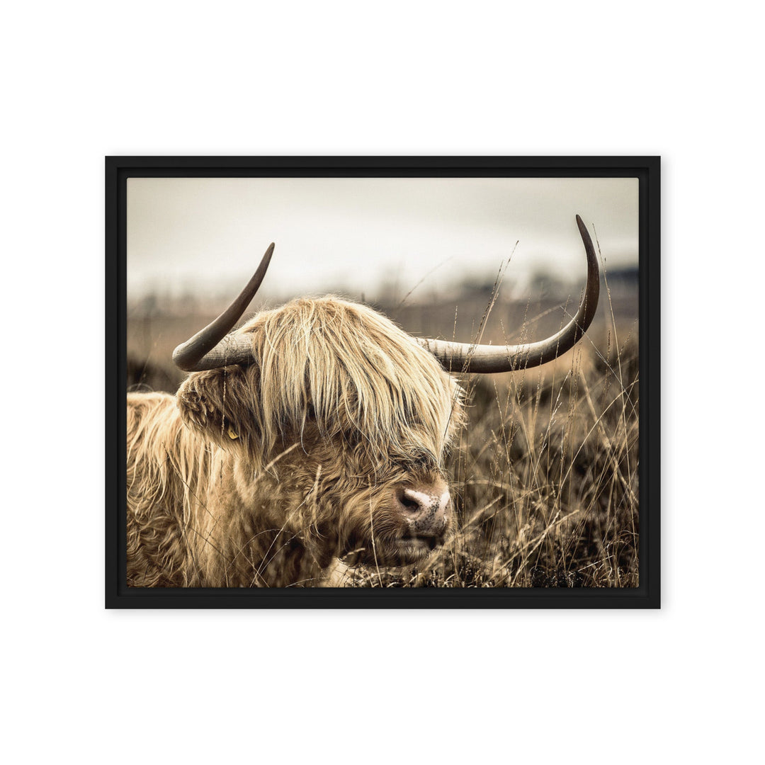 Leinwand - Highland Cattle Retro Schwarz / 41x51 cm (16″×20″) artlia