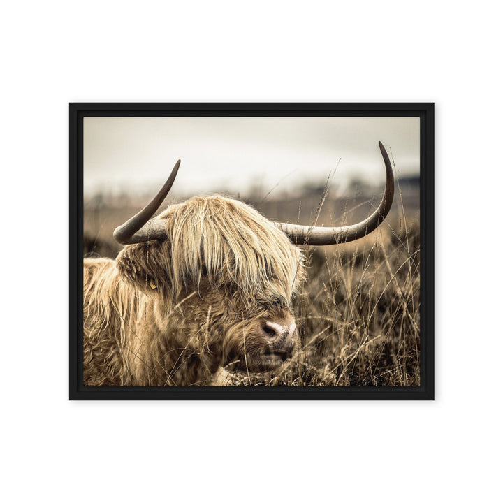 Leinwand - Highland Cattle Retro Schwarz / 41x51 cm (16″×20″) artlia