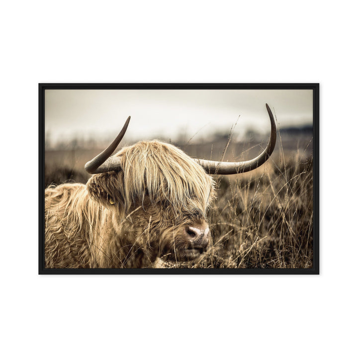 Leinwand - Highland Cattle Retro Schwarz / 51x76 cm (20″×30″) artlia