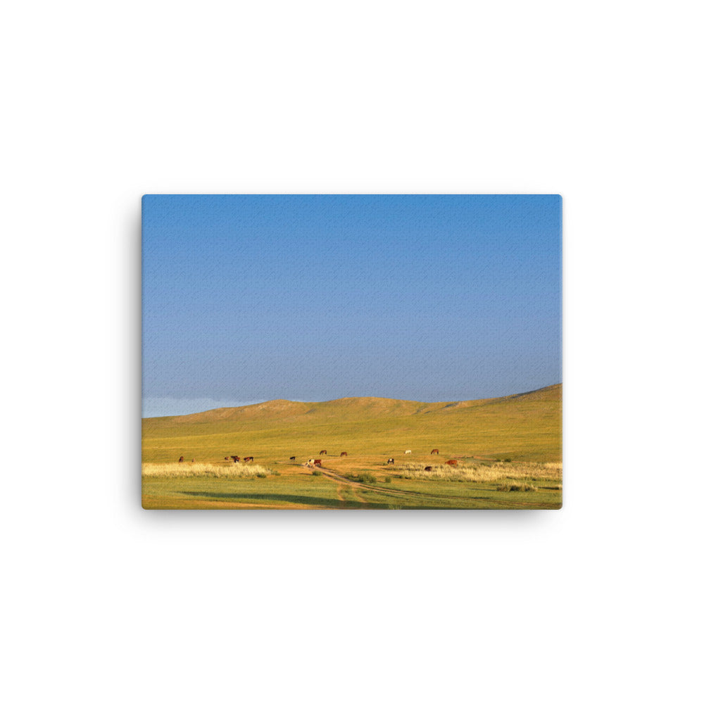 Leinwand - Steppe on a calm morning, Mongolia Young Han Song 30x41 cm artlia