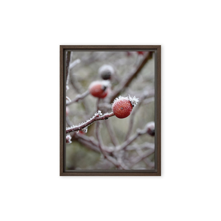 Leinwand - Winterbeeren II Kuratoren von artlia Braun / 31x41 cm (12″×16″) artlia