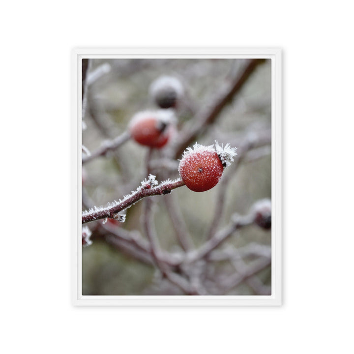 Leinwand - Winterbeeren II Kuratoren von artlia Weiß / 41x51 cm (16″×20″) artlia