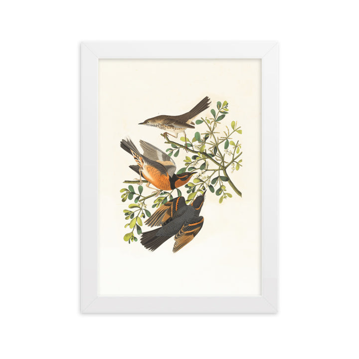 Poster - Drei Vögel auf Ästen Weiß / 21×30 cm artlia