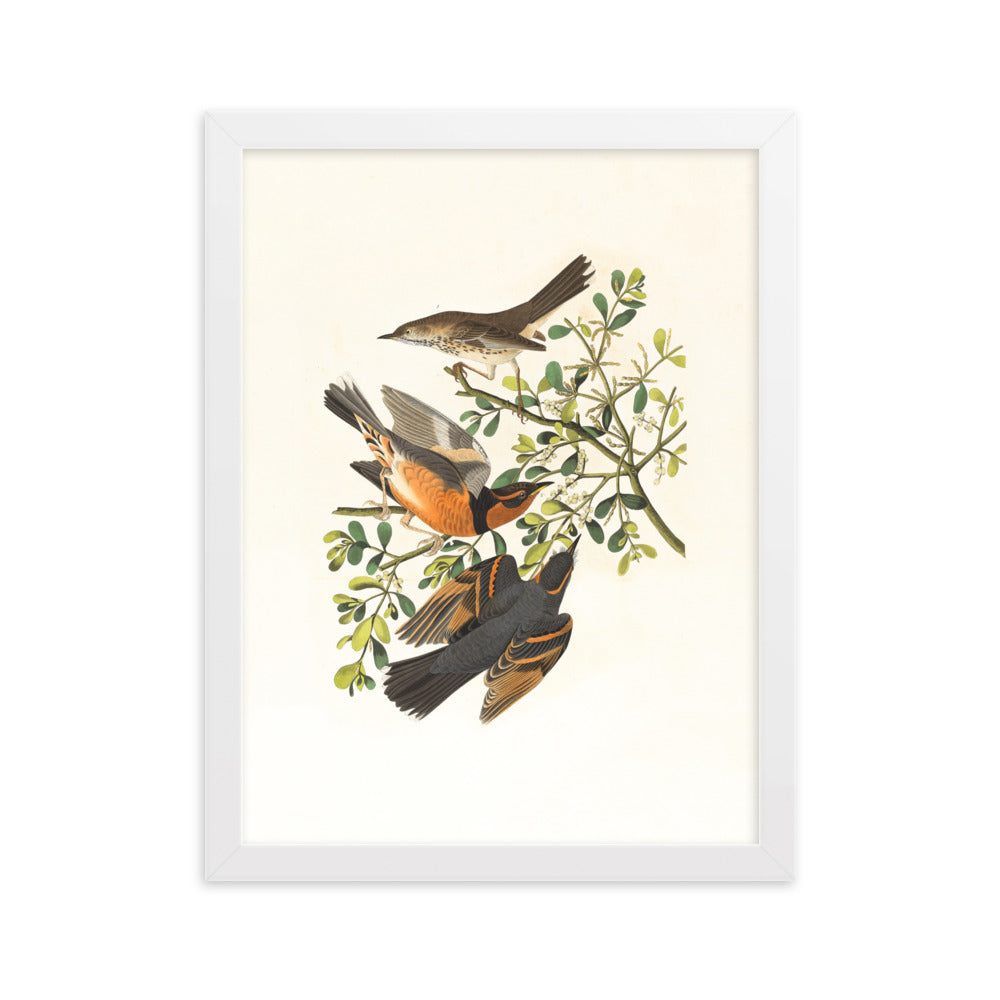 Poster - Drei Vögel auf Ästen Weiß / 30×40 cm artlia