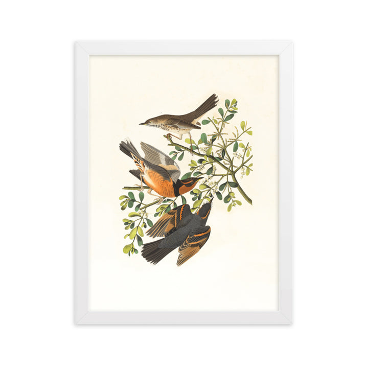 Poster - Drei Vögel auf Ästen Weiß / 30×40 cm artlia