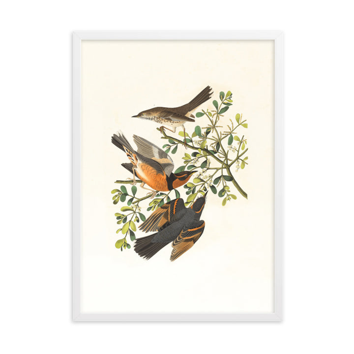 Poster - Drei Vögel auf Ästen Weiß / 50×70 cm artlia
