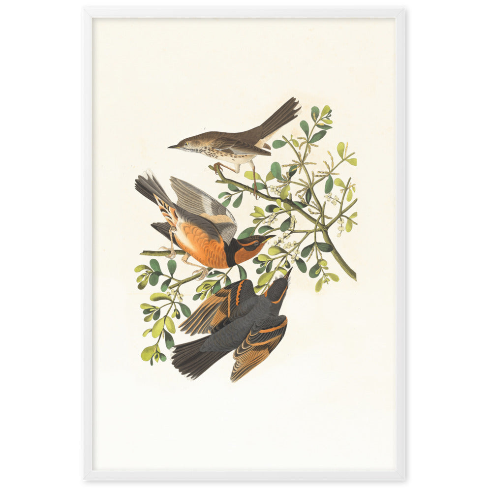 Poster - Drei Vögel auf Ästen Weiß / 61×91 cm artlia