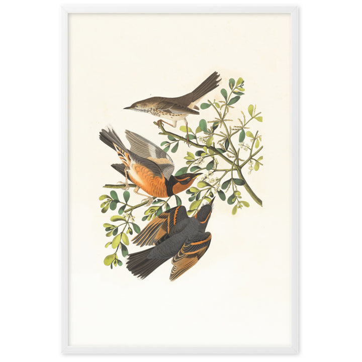 Poster - Drei Vögel auf Ästen Weiß / 61×91 cm artlia