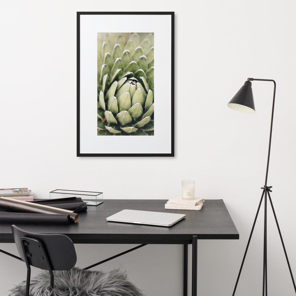 Poster mit Passepartout - Cactus Flower II Kuratoren von artlia artlia